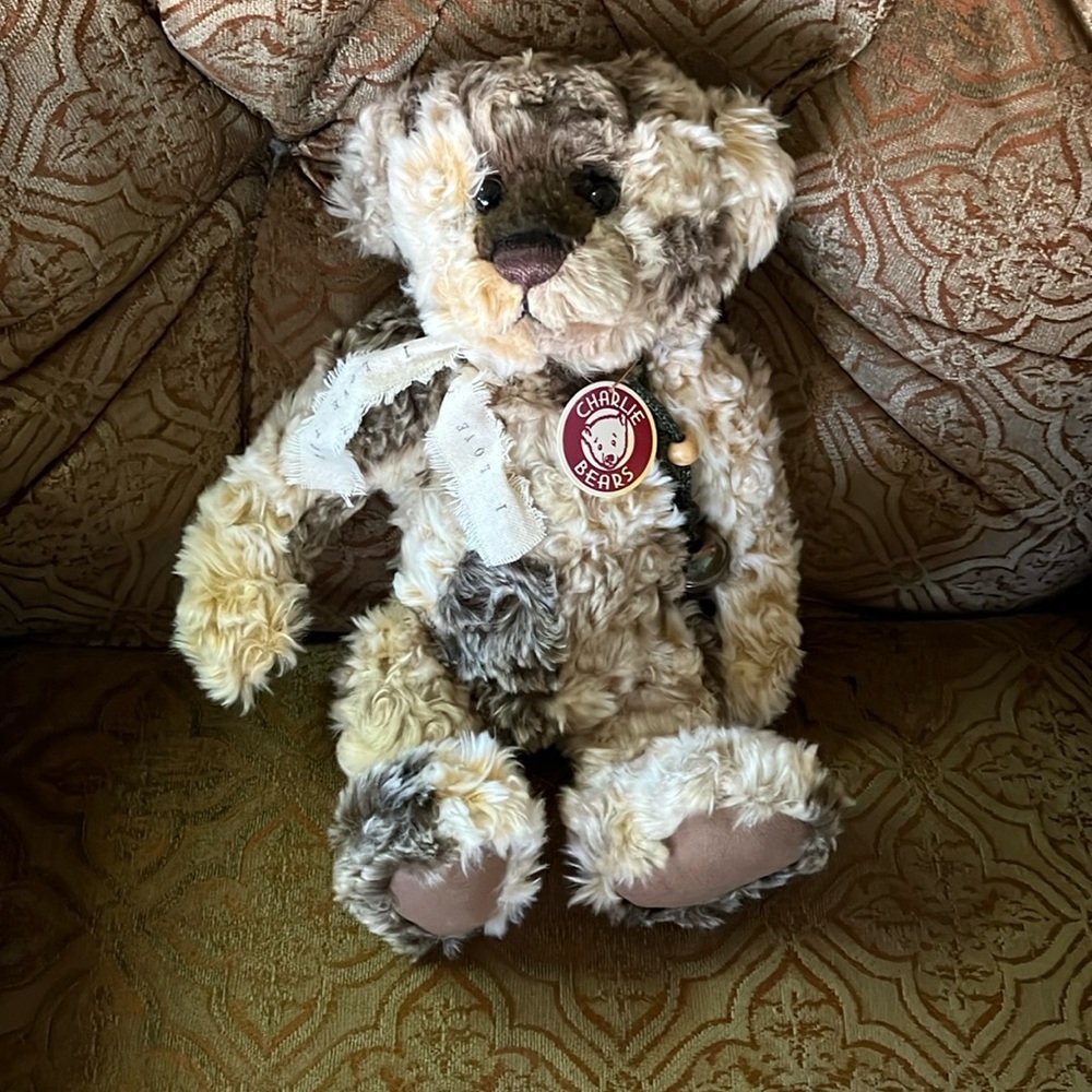 Charlie Bears Squidge collectible bear 14”. CB614881